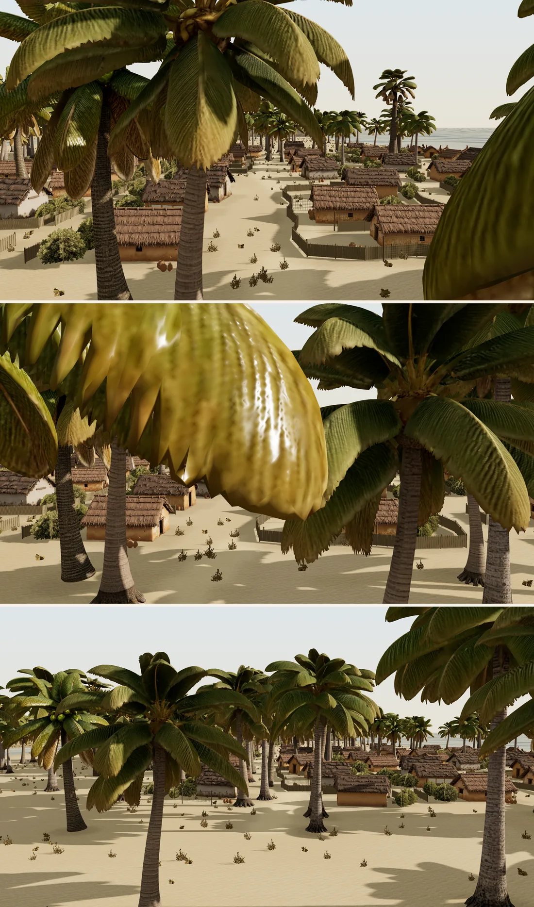 Three of the rejected spots for camera F. Standing inside a palm grove at eye height, the fronds find the lens wherever you stand.